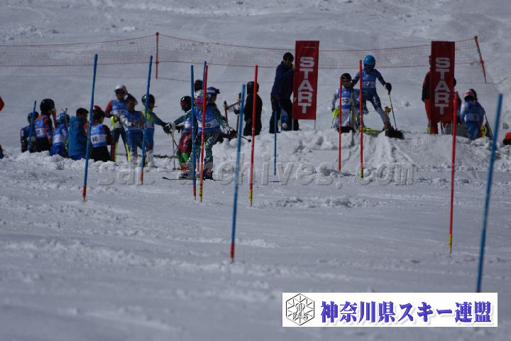 190309_124914_2.jpg