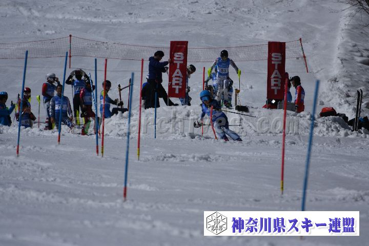 190309_124939_0.jpg