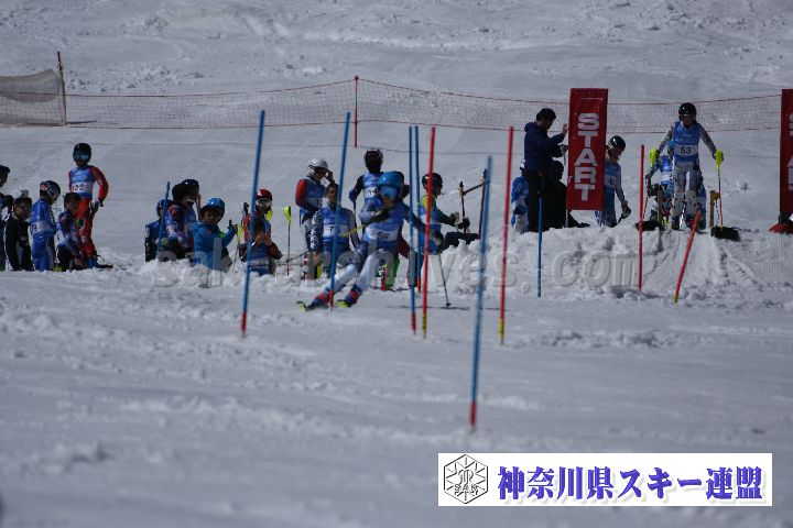 190309_124940_0.jpg