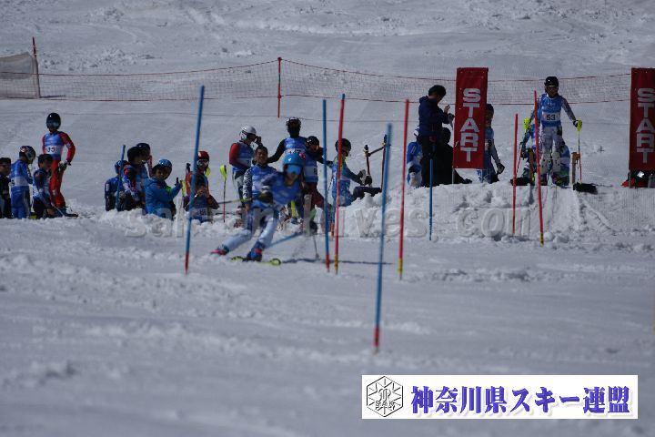 190309_124940_3.jpg