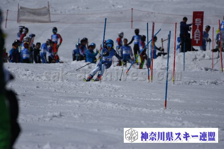 190309_124942_0.jpg