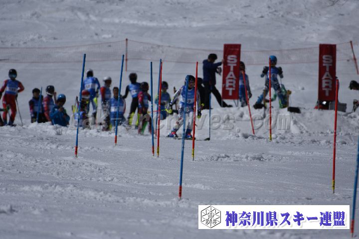 190309_125003_1.jpg