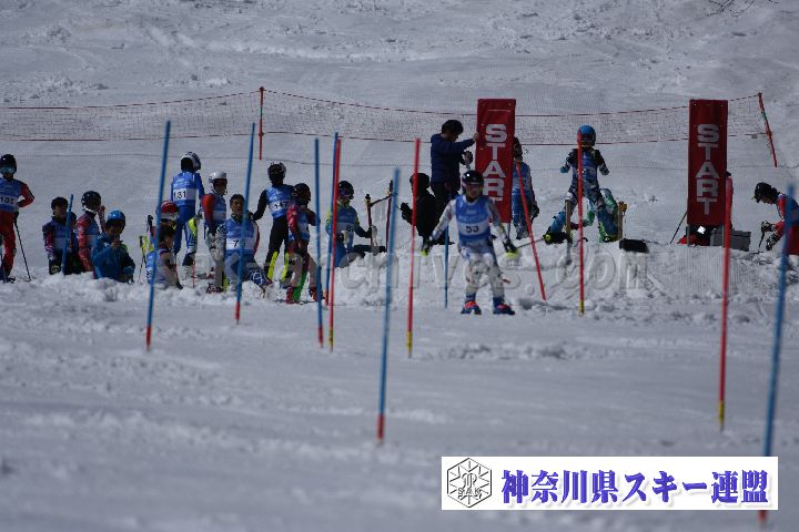 190309_125003_2.jpg