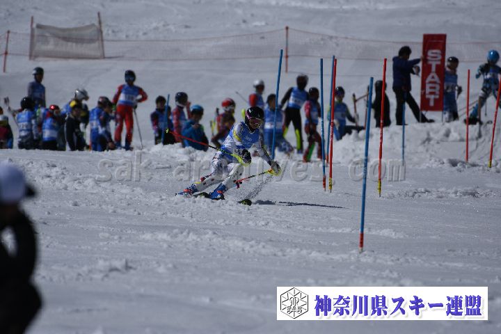 190309_125007_4.jpg