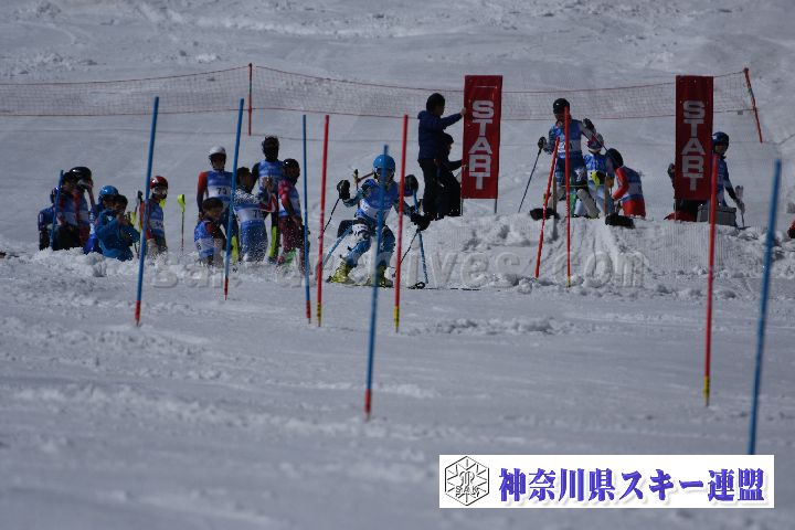 190309_125029_0.jpg