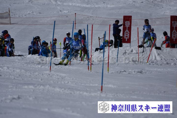 190309_125031_0.jpg