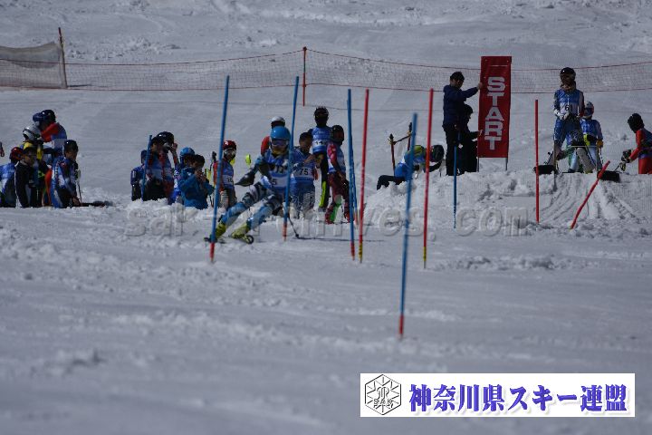 190309_125031_1.jpg