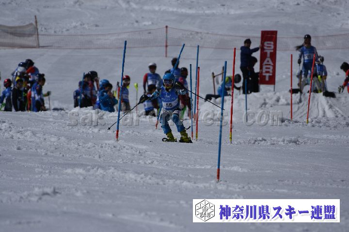 190309_125032_2.jpg