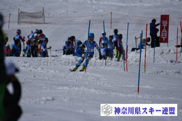 190309_125033_0.jpg