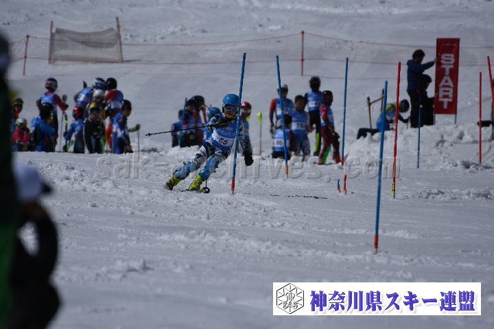 190309_125033_1.jpg