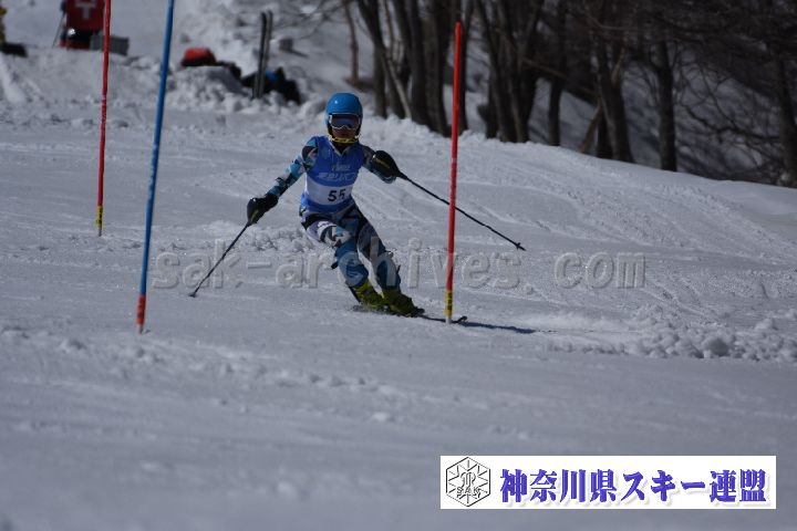 190309_125037_0.jpg