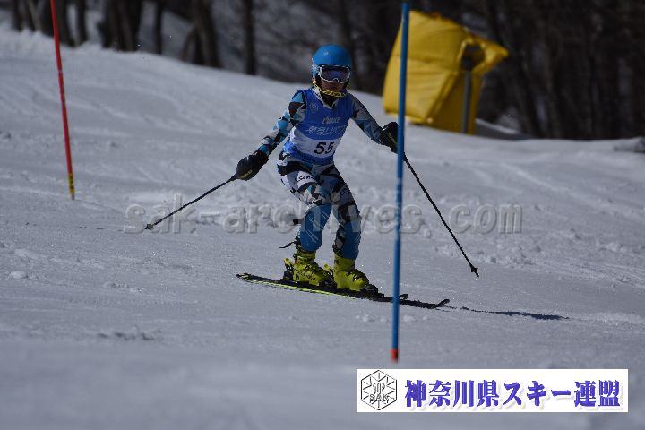 190309_125039_1.jpg