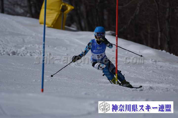 190309_125039_3.jpg
