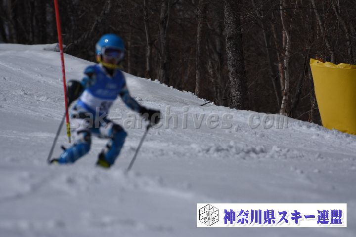 190309_125041_2.jpg