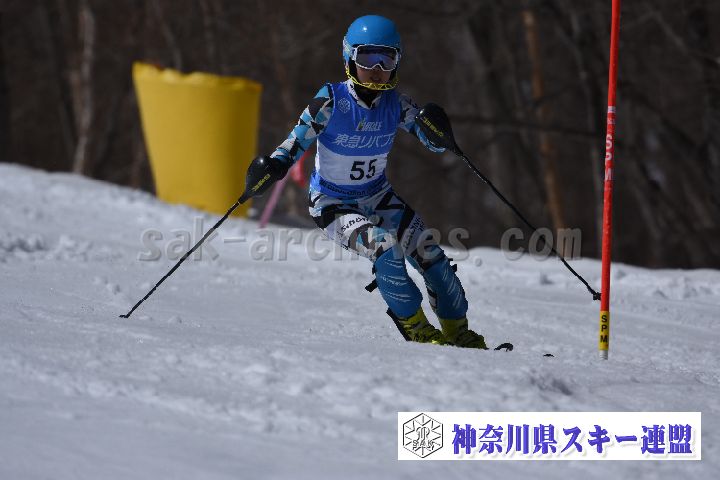 190309_125042_1.jpg
