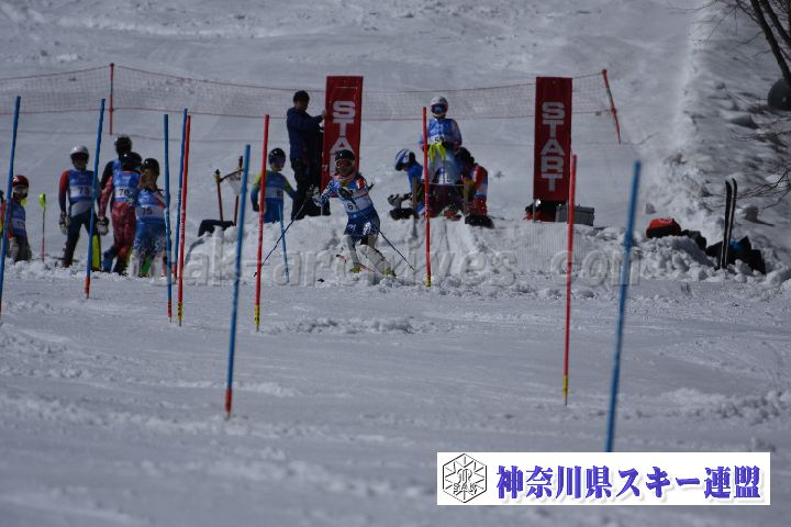 190309_125055_0.jpg