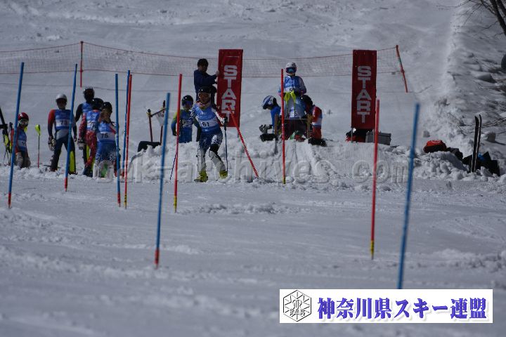 190309_125055_1.jpg