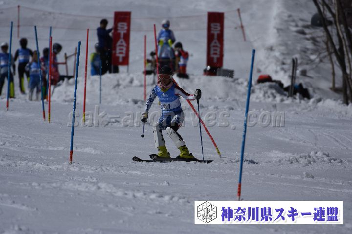 190309_125102_1.jpg