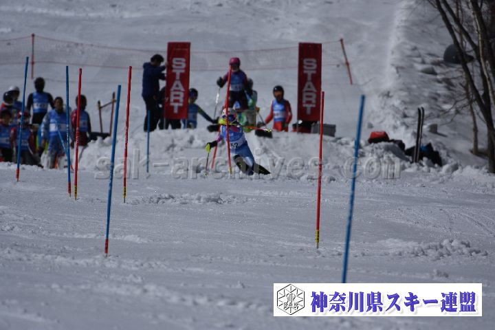 190309_125126_2.jpg