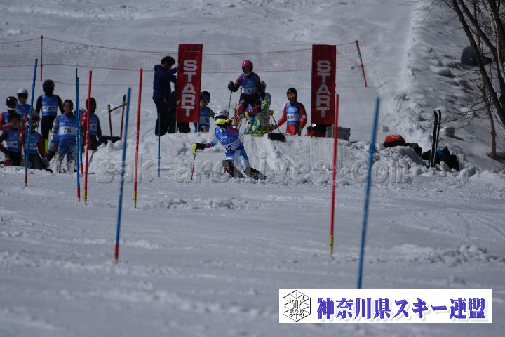 190309_125126_3.jpg