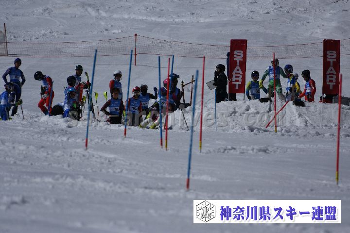 190309_125152_3.jpg