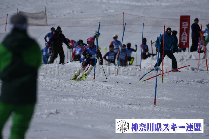 190309_125156_3.jpg