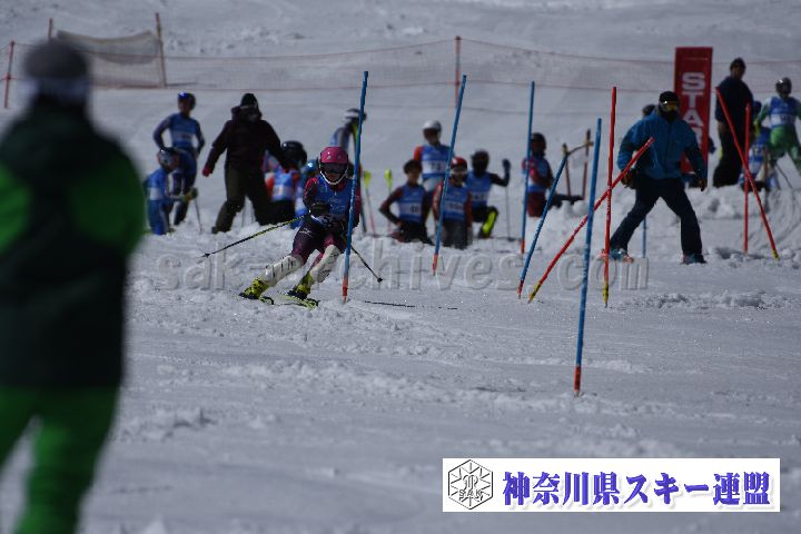 190309_125156_4.jpg