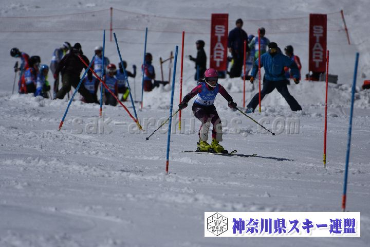 190309_125157_2.jpg