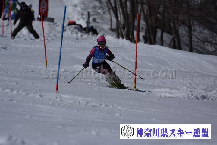190309_125200_0.jpg