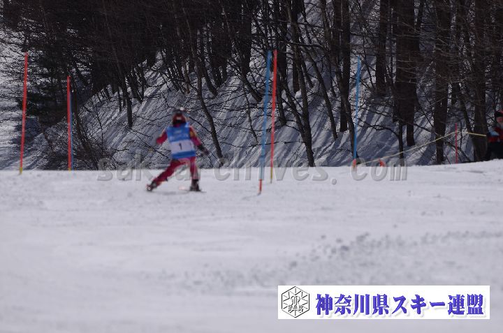 190309_095145_0.jpg