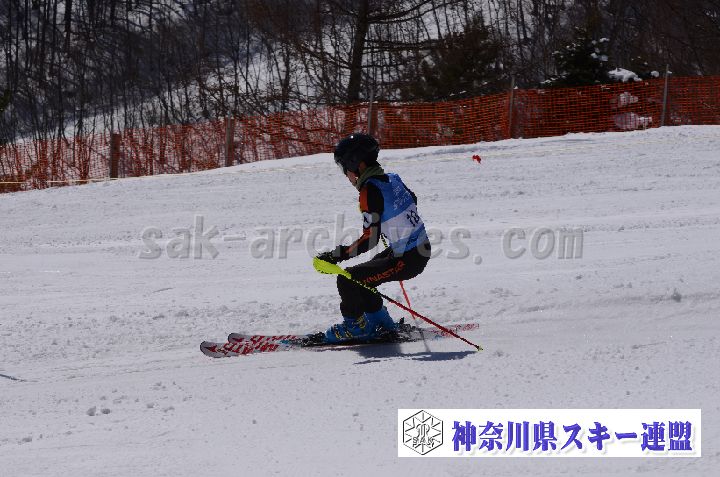 190309_102458_0.jpg