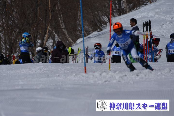 190309_102720_0.jpg
