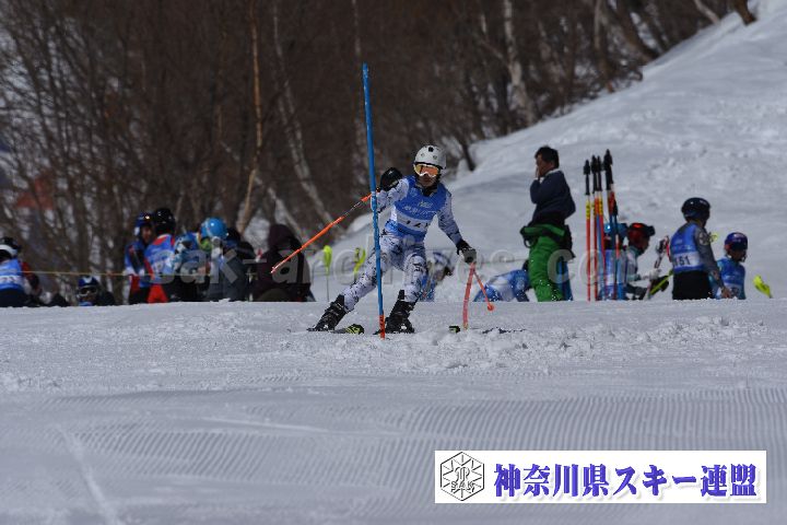 190309_102742_5.jpg