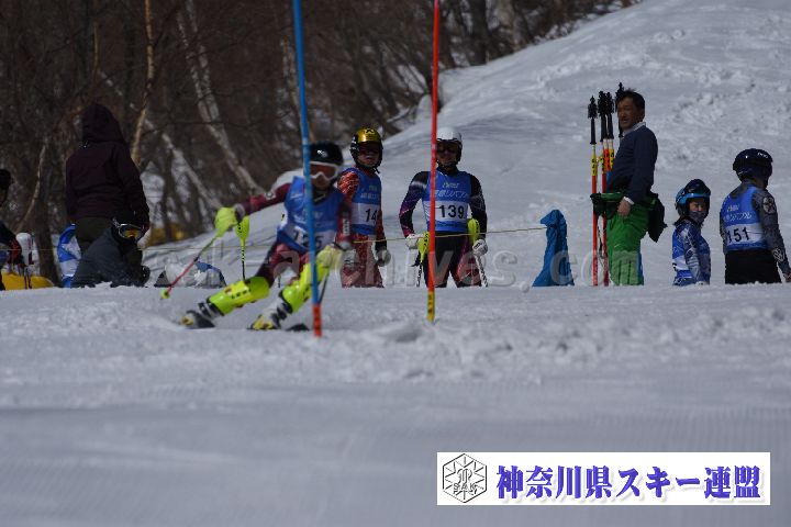 190309_102835_0.jpg