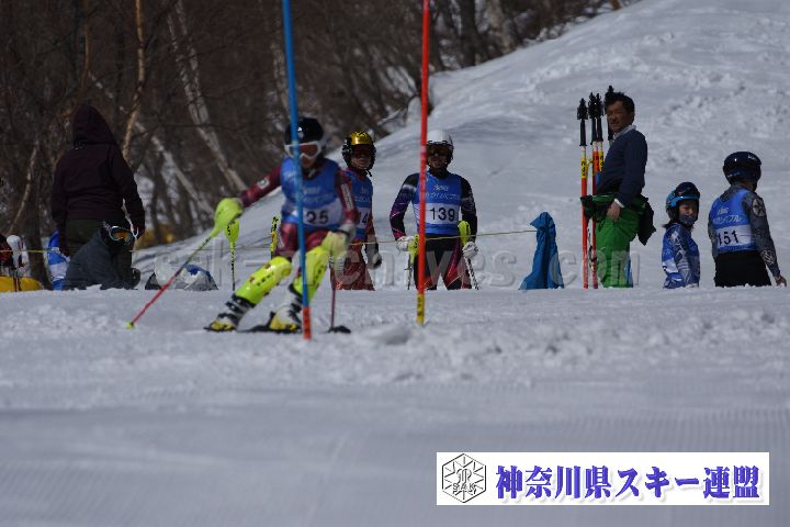 190309_102835_1.jpg