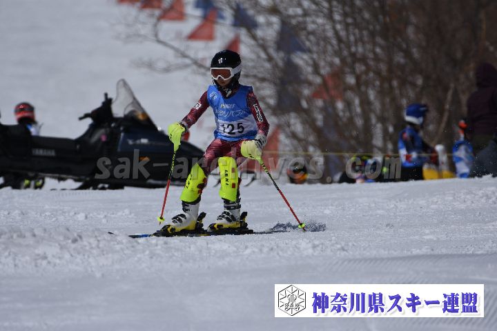 190309_102836_4.jpg