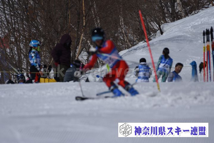190309_103228_0.jpg