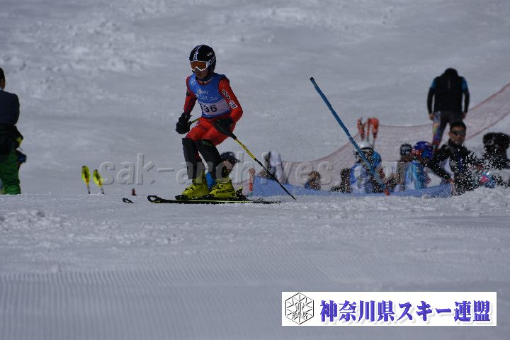 190309_103251_4.jpg