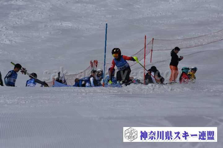 190309_103500_2.jpg