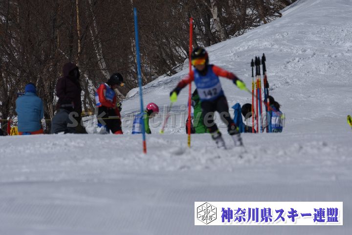 190309_103503_0.jpg