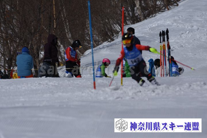 190309_103503_1.jpg