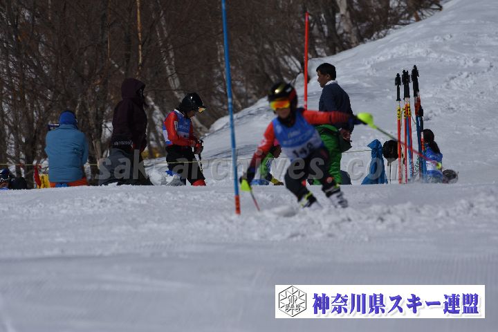 190309_103503_2.jpg