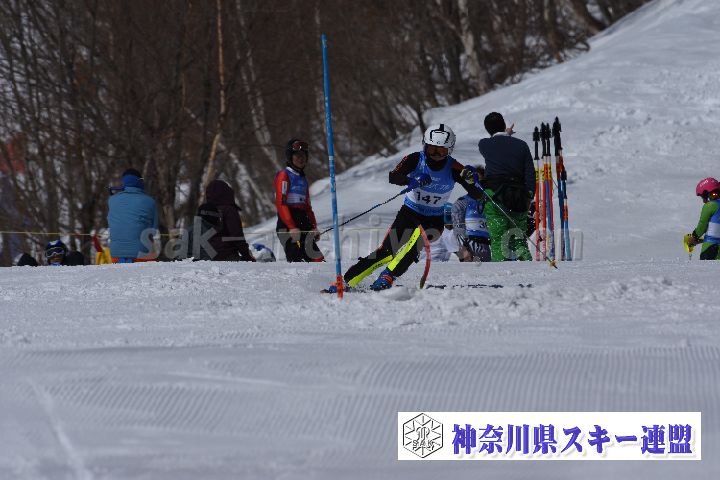 190309_103641_0.jpg