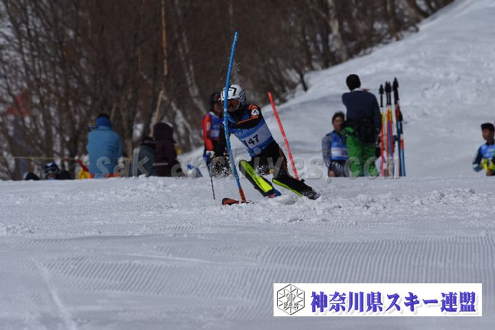 190309_103642_0.jpg
