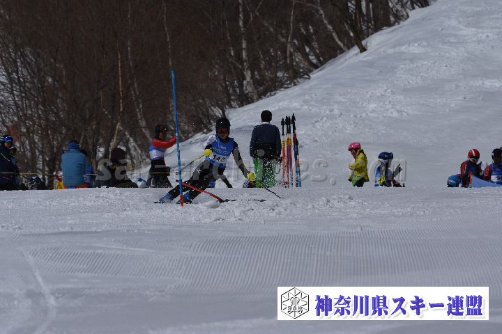 190309_103700_4.jpg