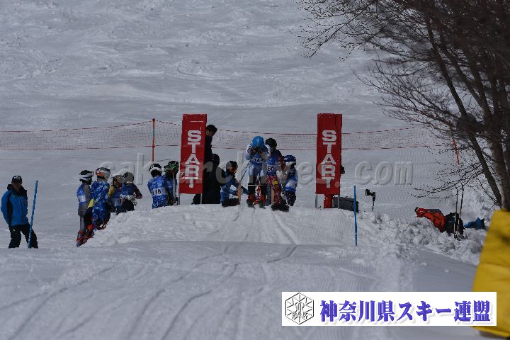 190309_103725_0.jpg