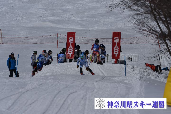 190309_103727_1.jpg