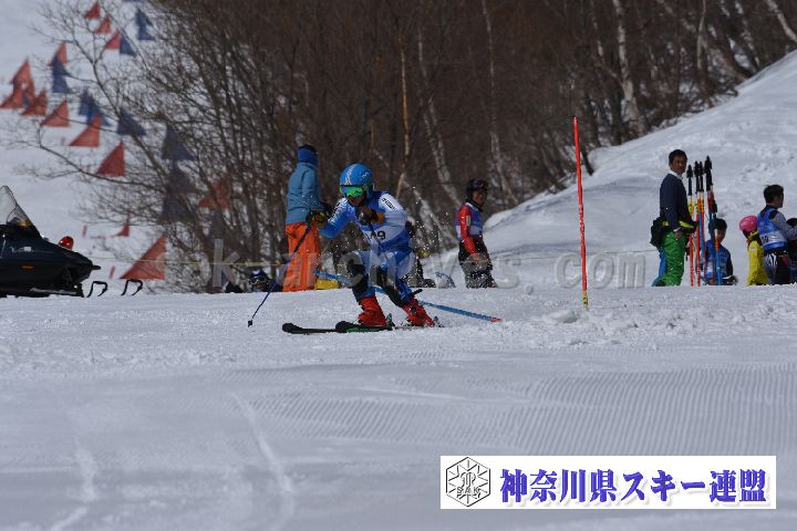 190309_103733_0.jpg