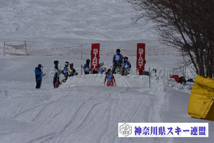 190309_103749_0.jpg