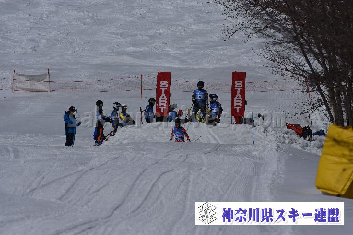 190309_103749_1.jpg